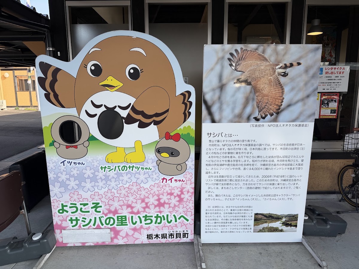 道之驛 サシバ之里市貝（道の駅 サシバの里いちかい） 實景照片 2