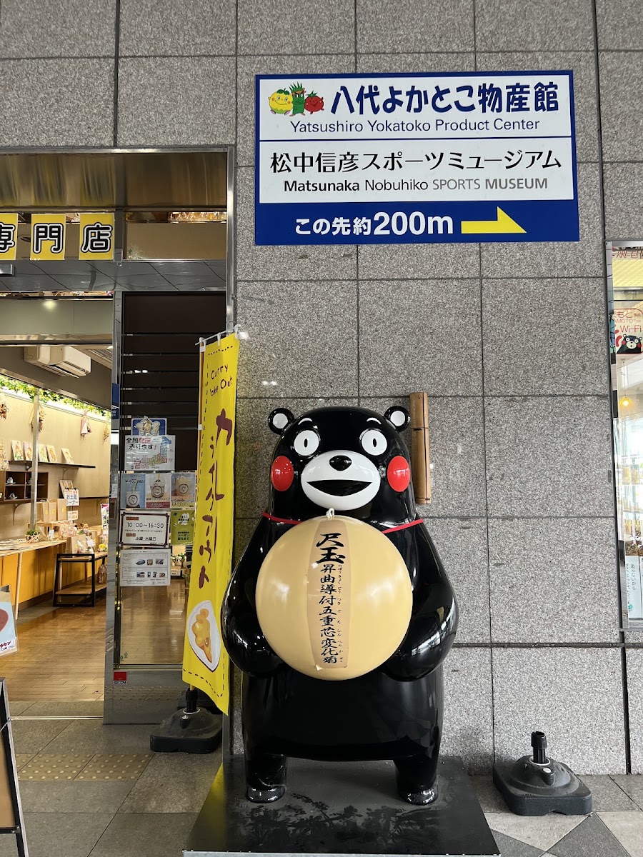 JR新八代站 新幹線(JR新八代駅) 實景照片 7