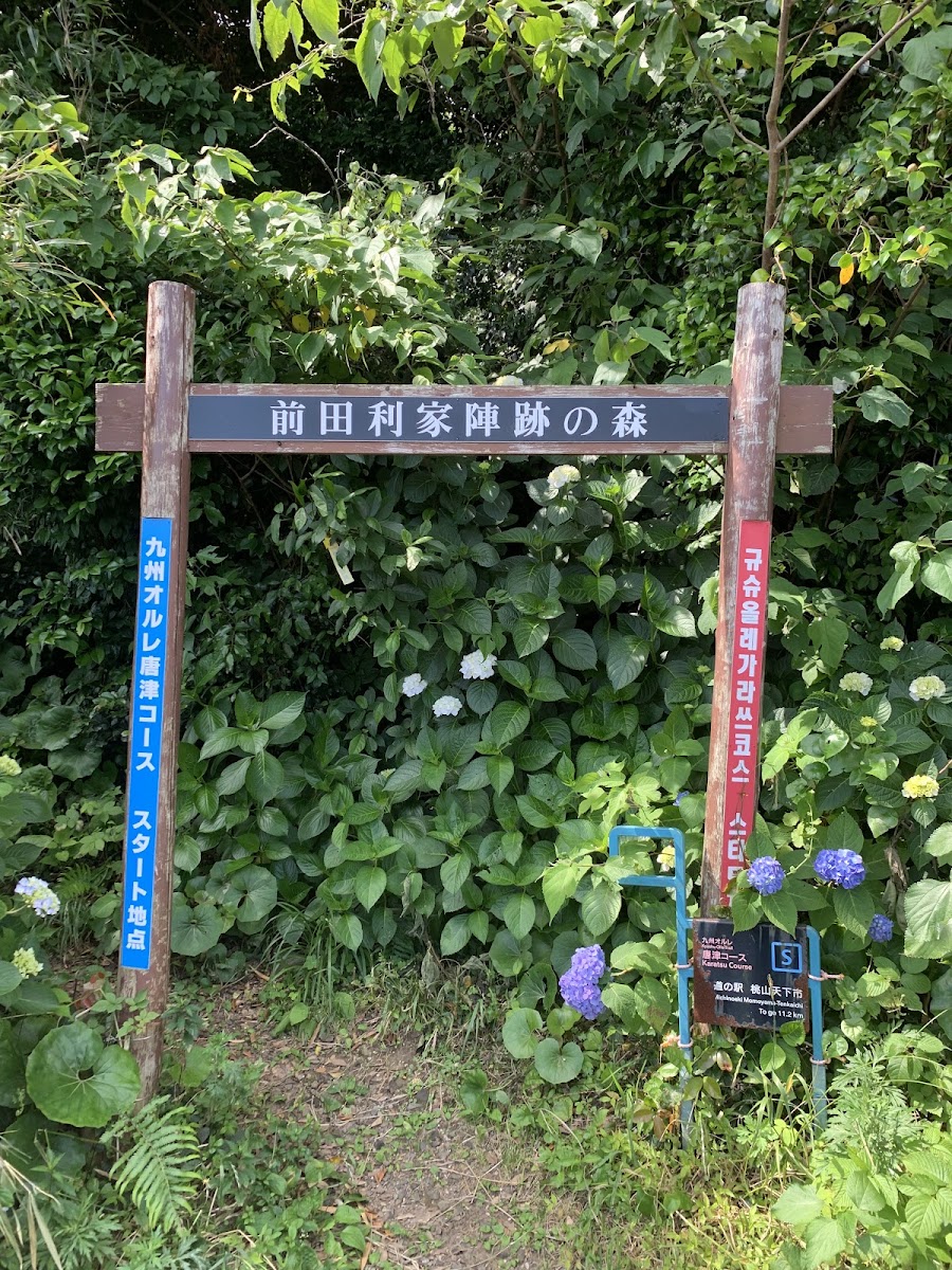 道之驛 桃山天下市(道の駅 桃山天下市) 實景照片 7