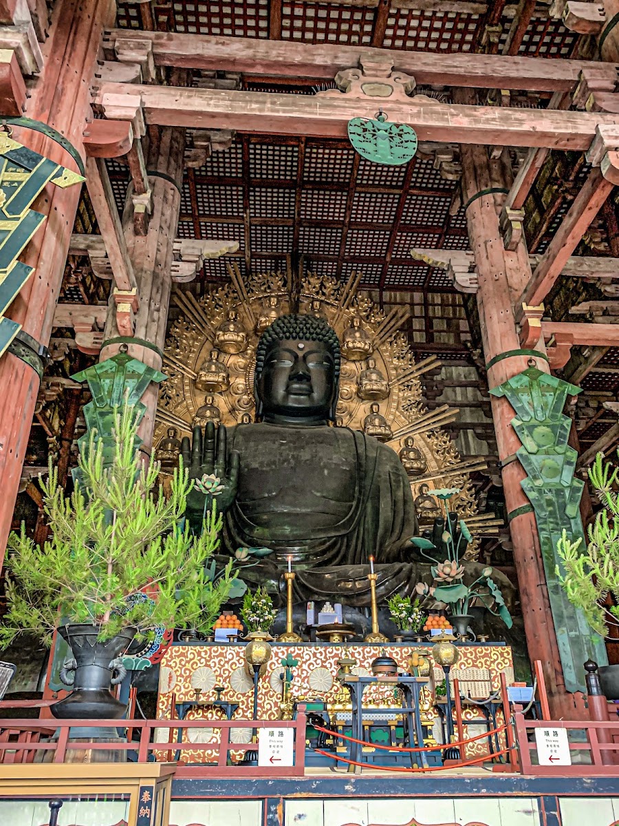 奈良公園 實景照片 5