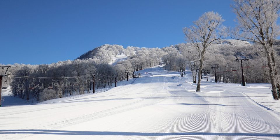 雪地纜車與樹冰大景