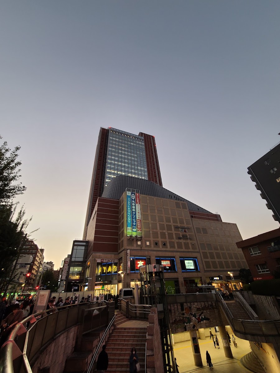 胡蘿蔔展望台(キャロット展望台) 實景照片 3
