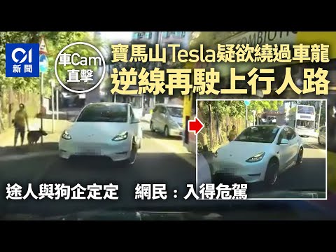車Cam｜寶馬山Tesla駛上行人路　途人與狗企定定　網民﹕入得危駕｜01新聞｜寶馬山｜Tesla｜行人路｜途人｜逆線行車｜危險駕駛