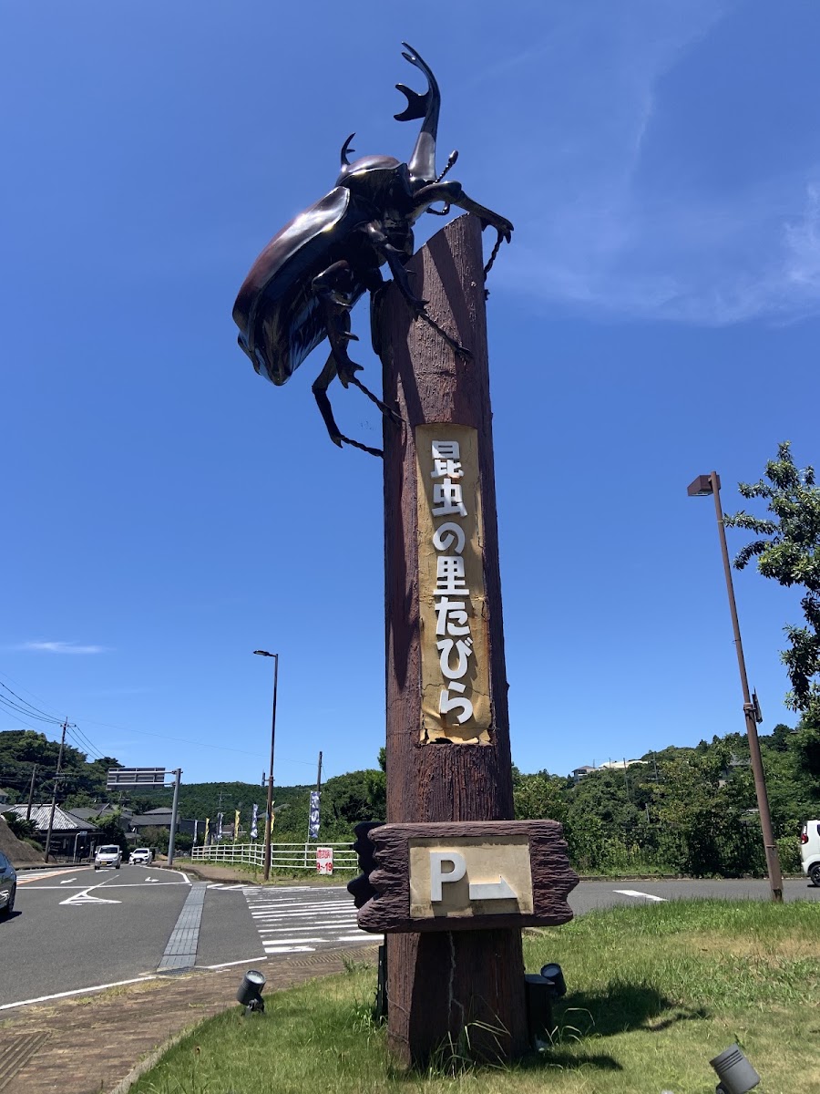 道之驛 昆蟲之里田平（道の駅 昆虫の里たびら） 實景照片 2