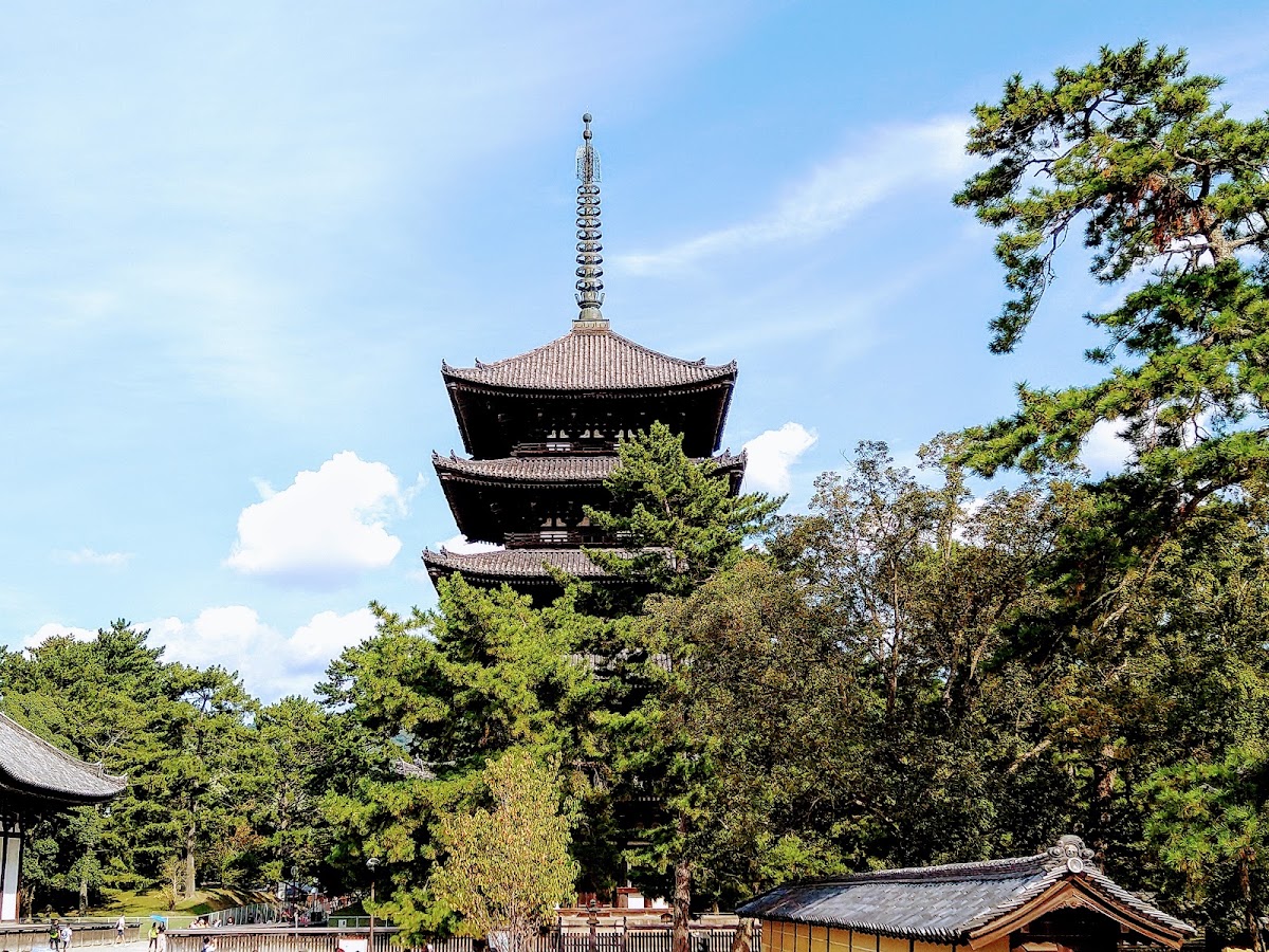 興福寺 實景照片 7