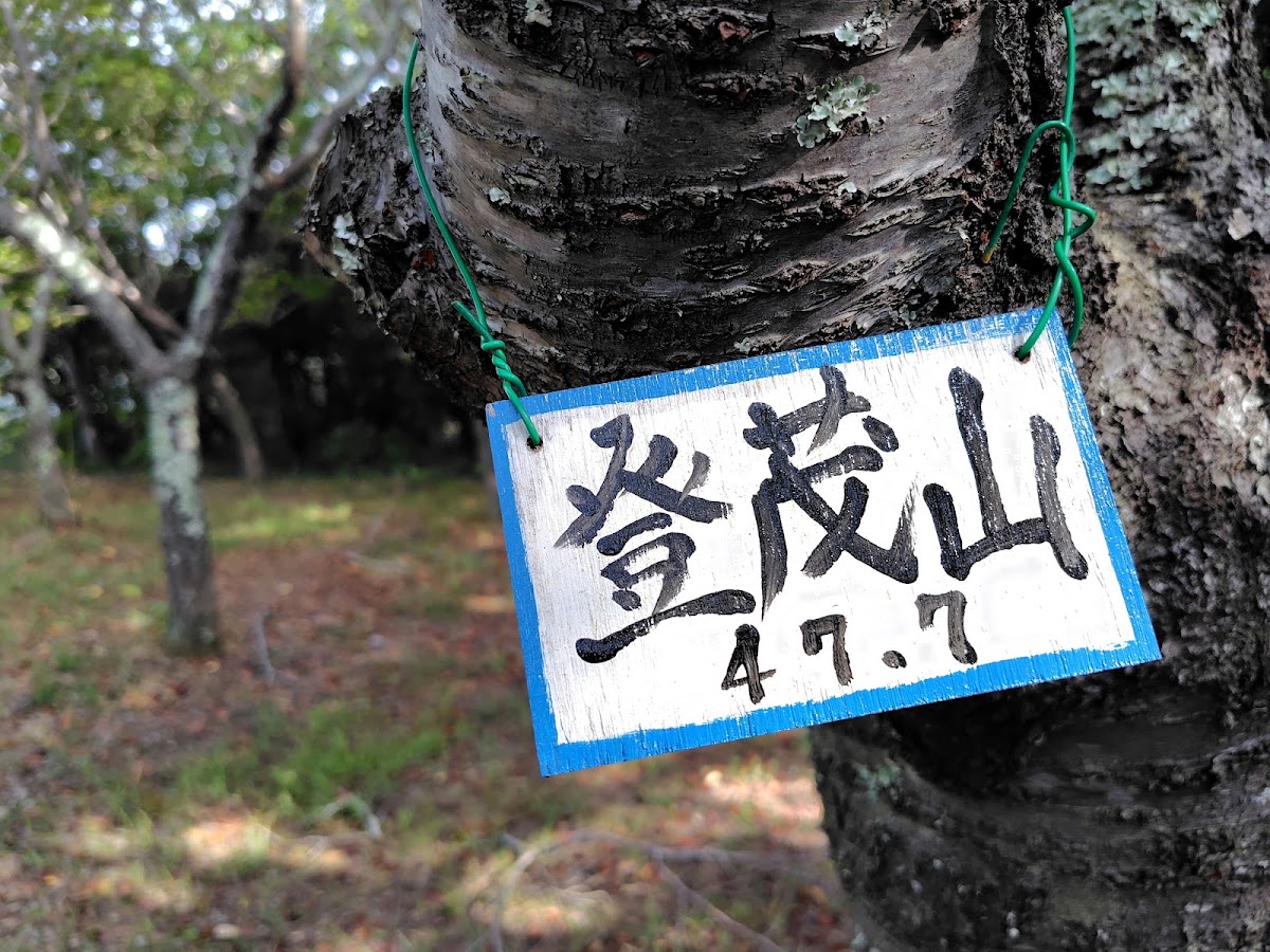 登茂山展望台 實景照片 9