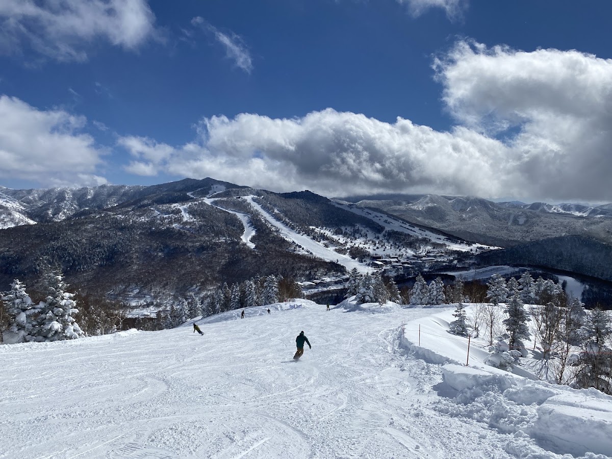 志賀高原燒額山滑雪場（志賀高原 焼額山スキー場）