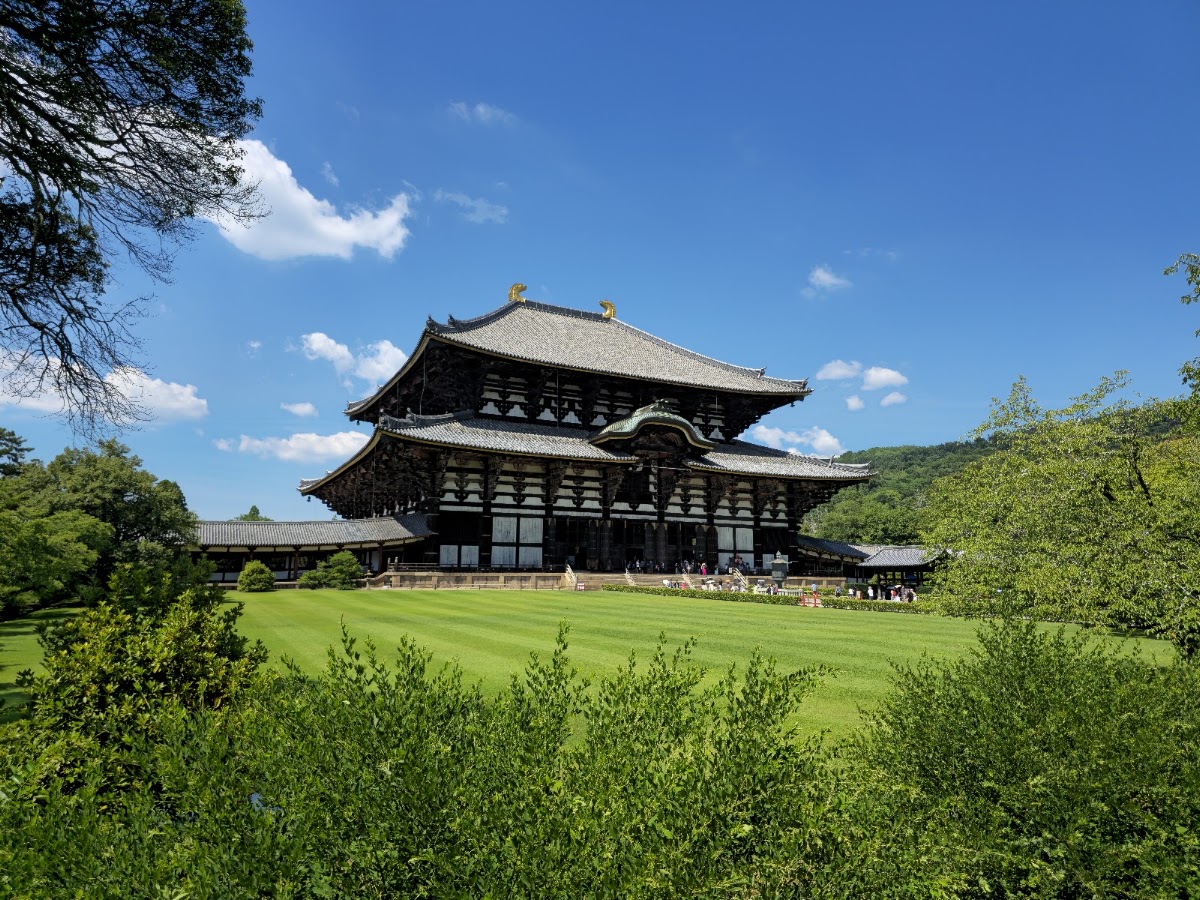 奈良公園大佛殿的藍天草地大景