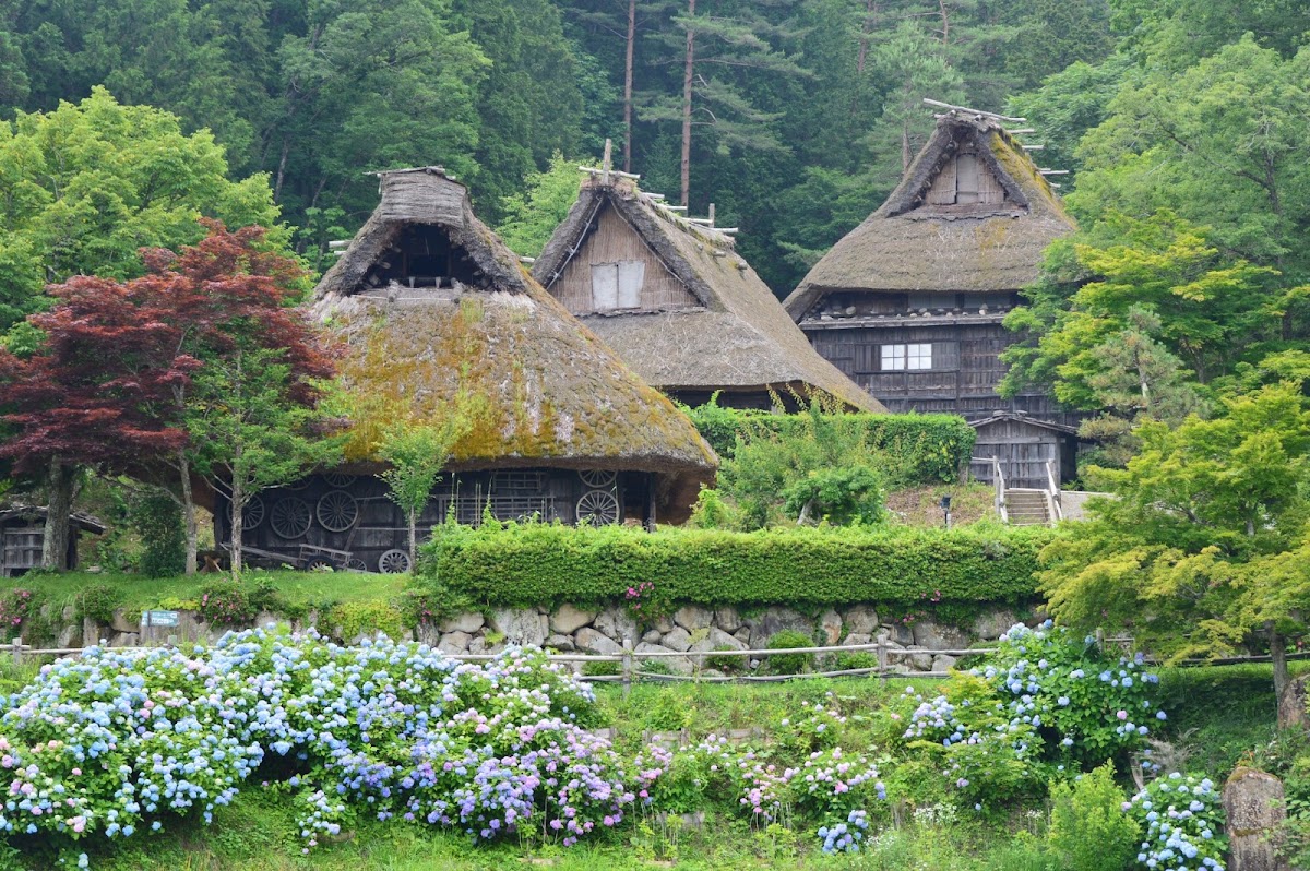 飛驒之里(飛騨の里) 實景照片 3