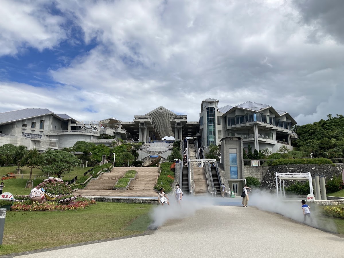 沖繩美麗海水族館(沖縄美ら海水族館) 實景照片 8