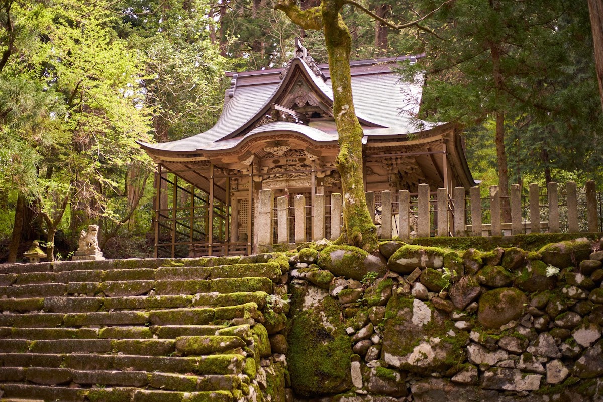 青苔石階與神社建築