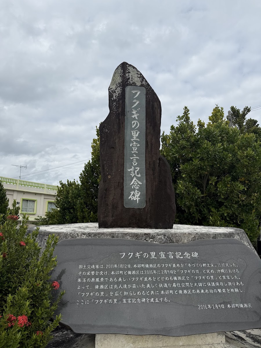 備瀨福木樹林大道(備瀬のフクギ並木) 實景照片 4