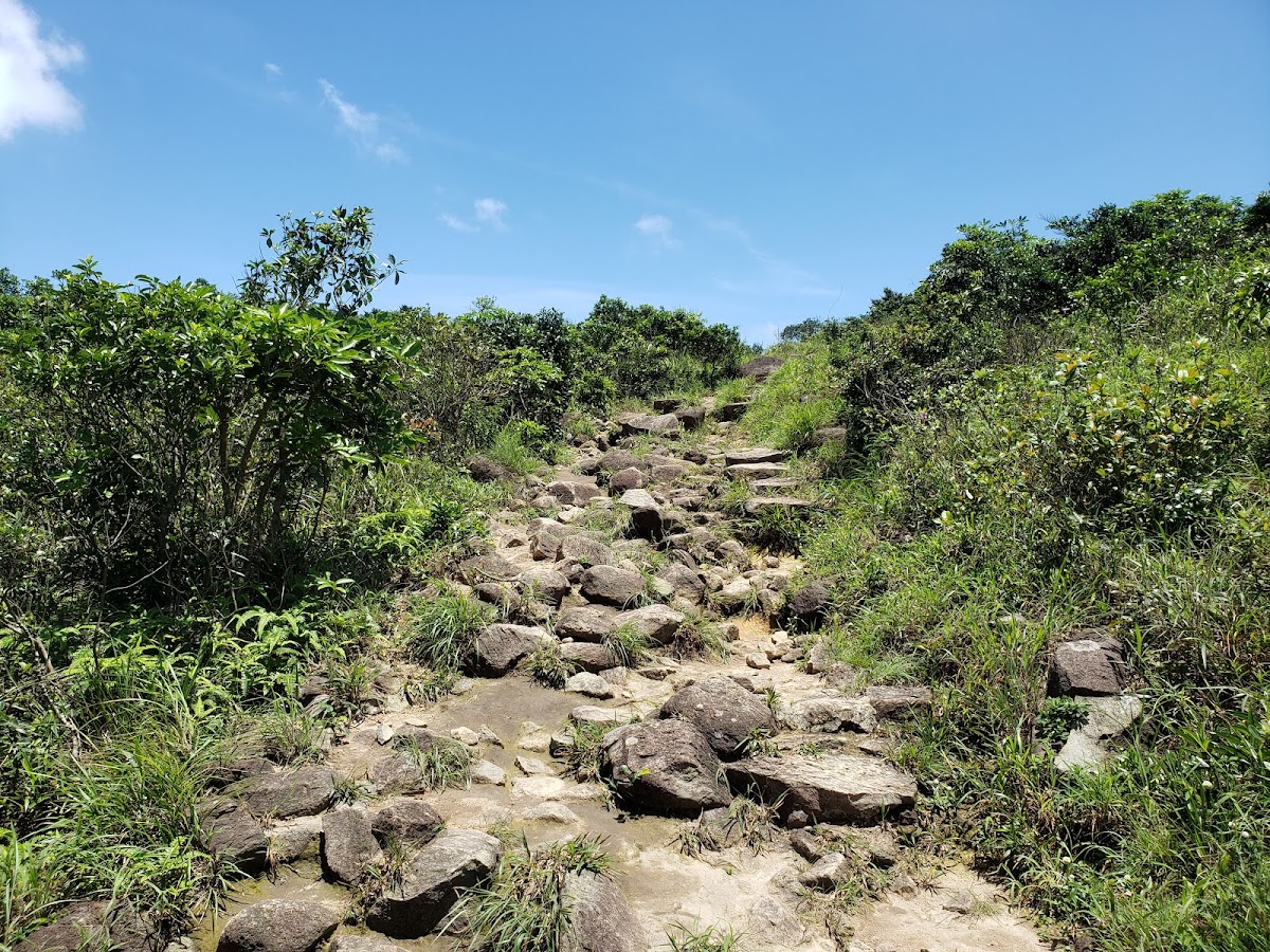 蝦山篤停車位 實景照片 10