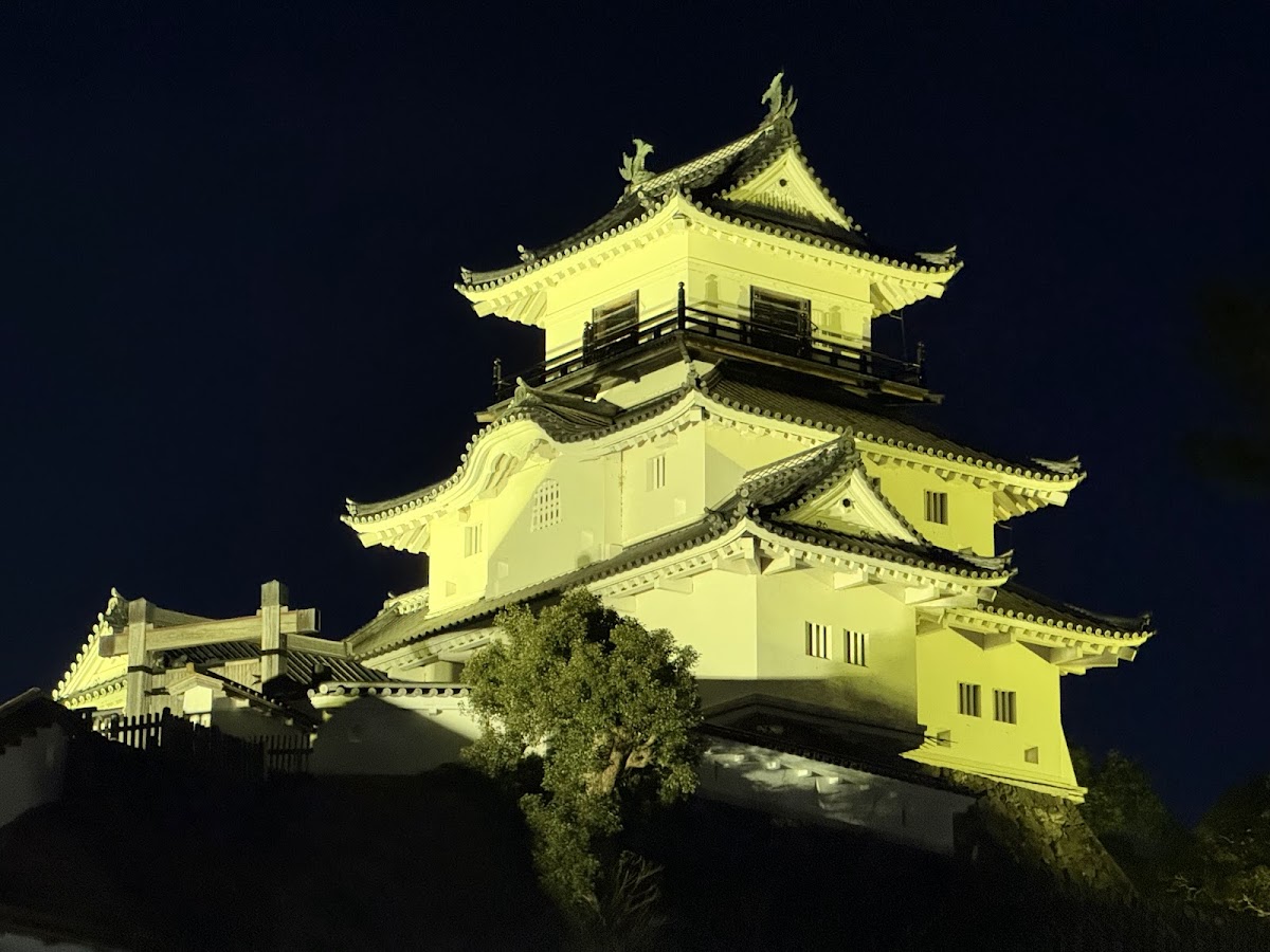 掛川城天守閣夜景點燈