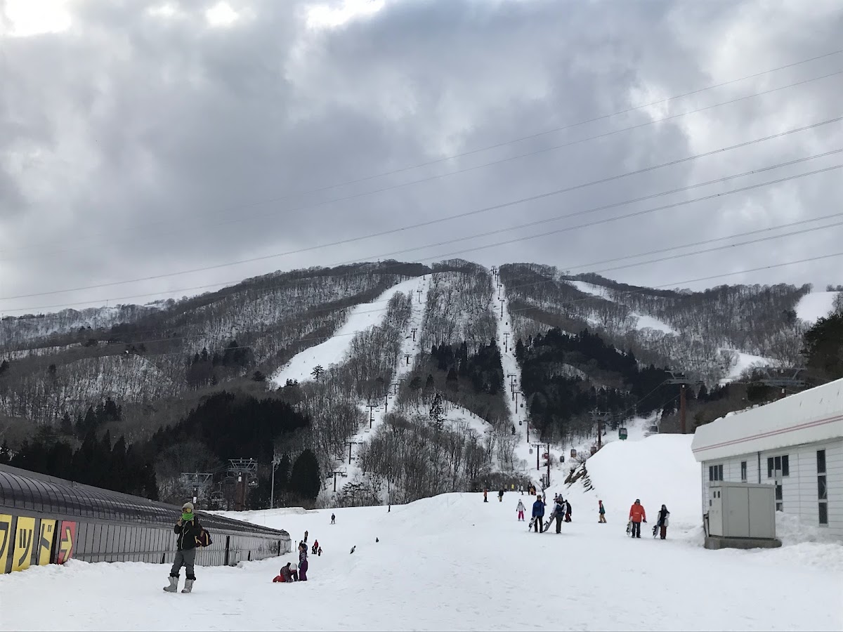 高鷲Snow Park(高鷲スノーパーク) 實景照片 3