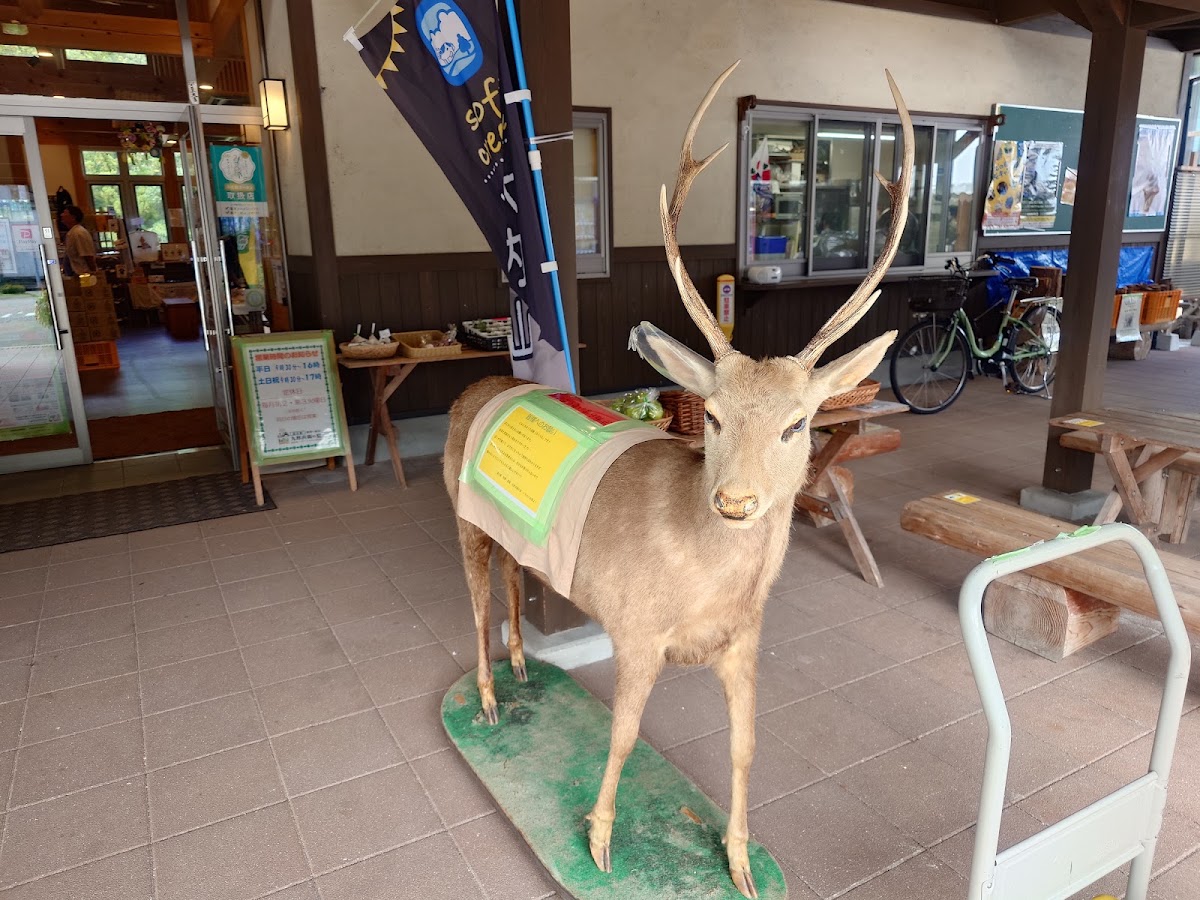 道之驛 熊野・板屋 九郎兵衛之里(道の駅 熊野・板屋 九郎兵衛の里) 實景照片 7