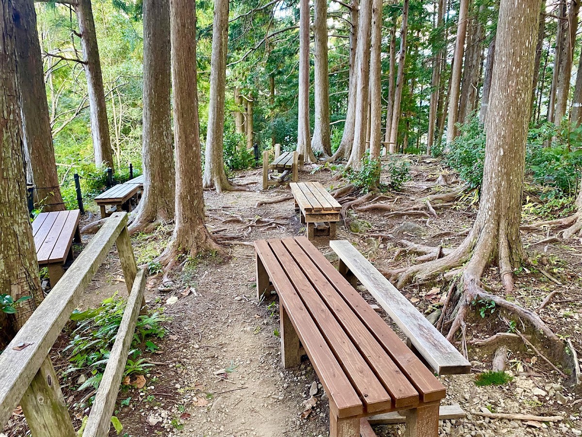 熊野古道 馬越峠 實景照片 3