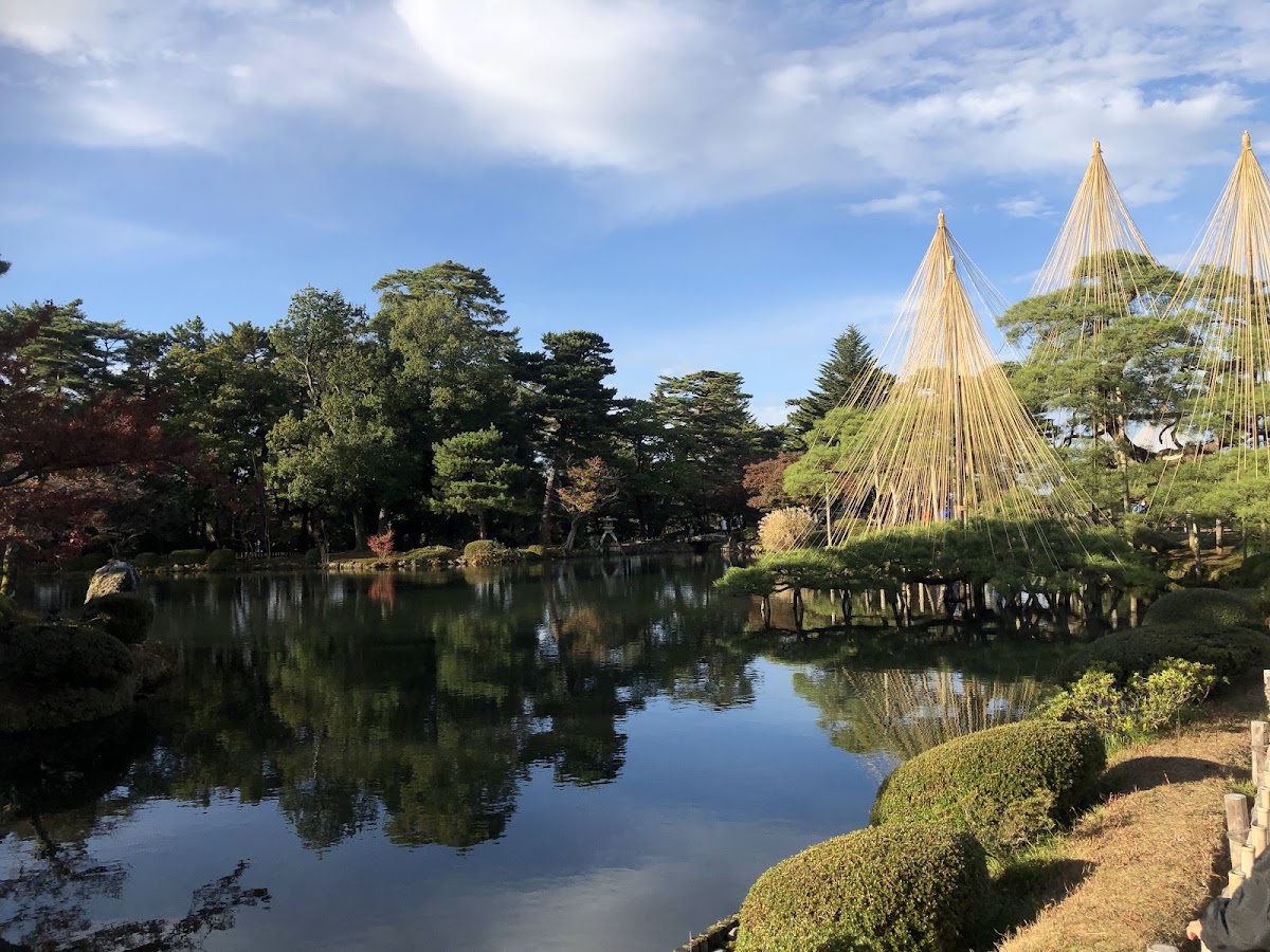 霞之池與雪吊松樹大景