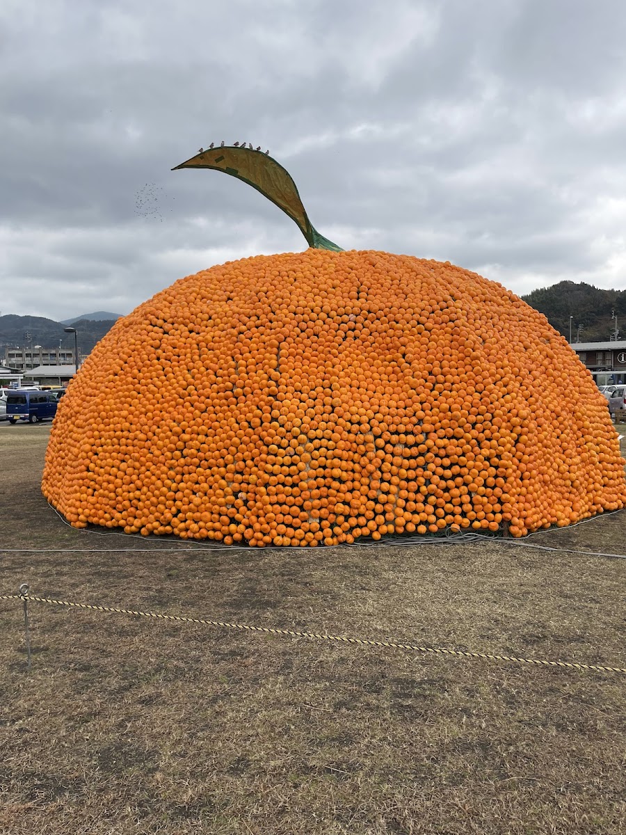 道之驛 八幡濱Minatto(道の駅 八幡浜みなっと) 實景照片 3