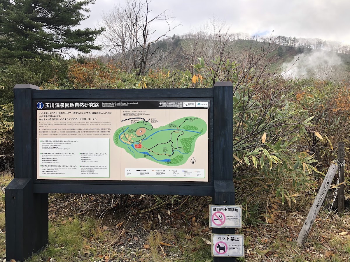 玉川溫泉(玉川温泉) 實景照片 9