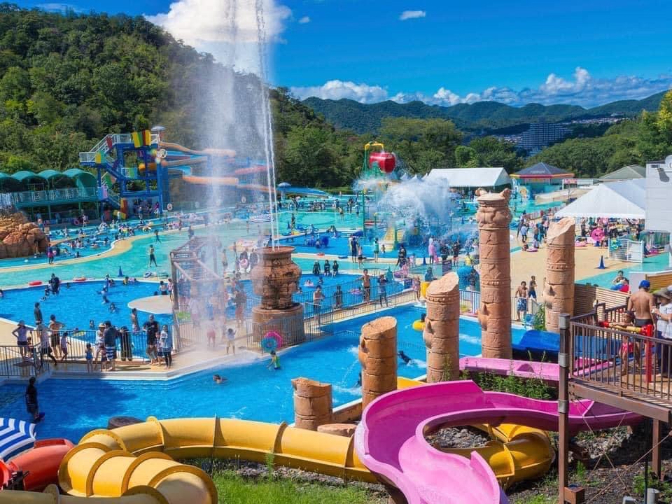 日本猴子樂園(日本モンキーパーク) 實景照片 4
