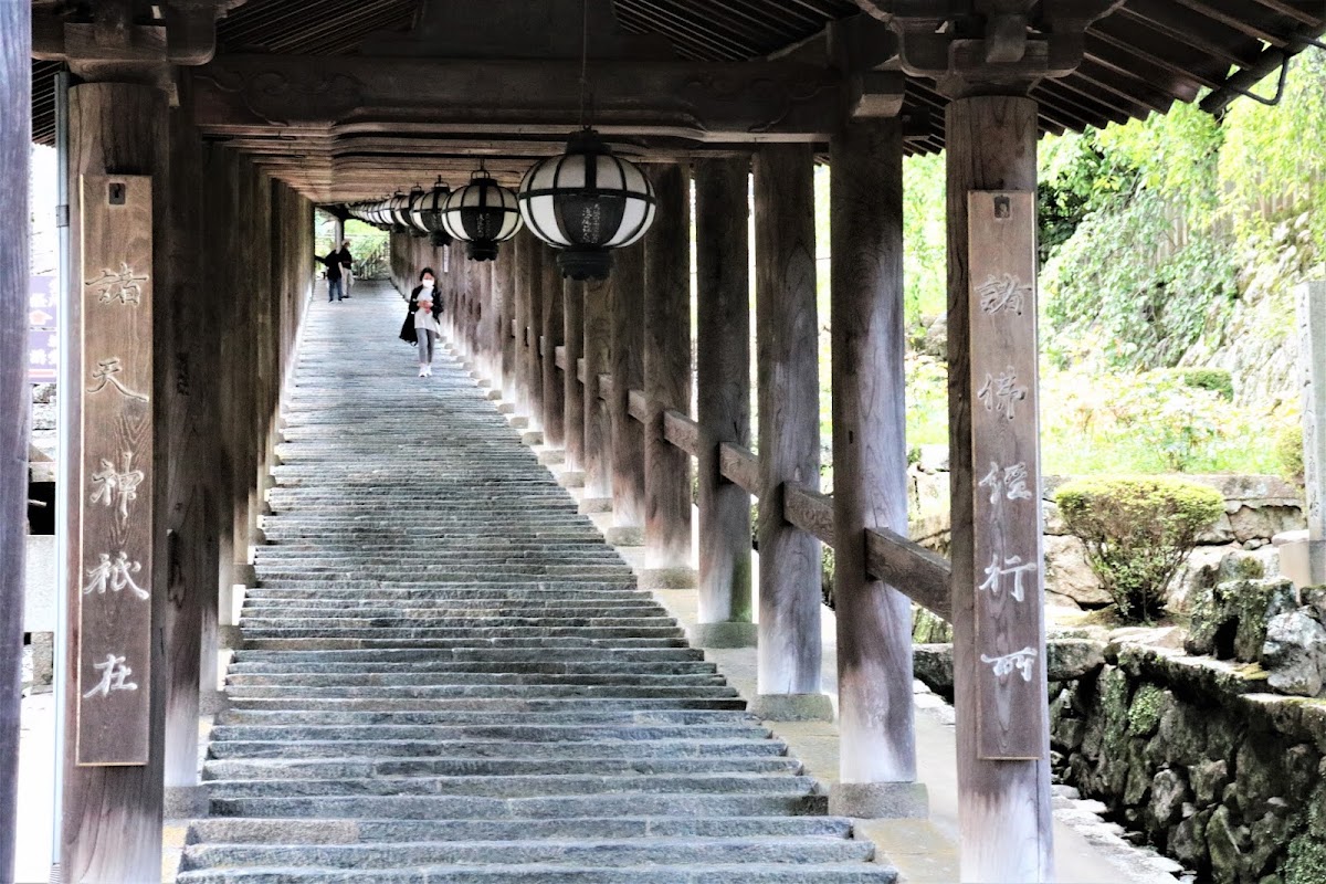 長谷寺長長的室內木造登廊