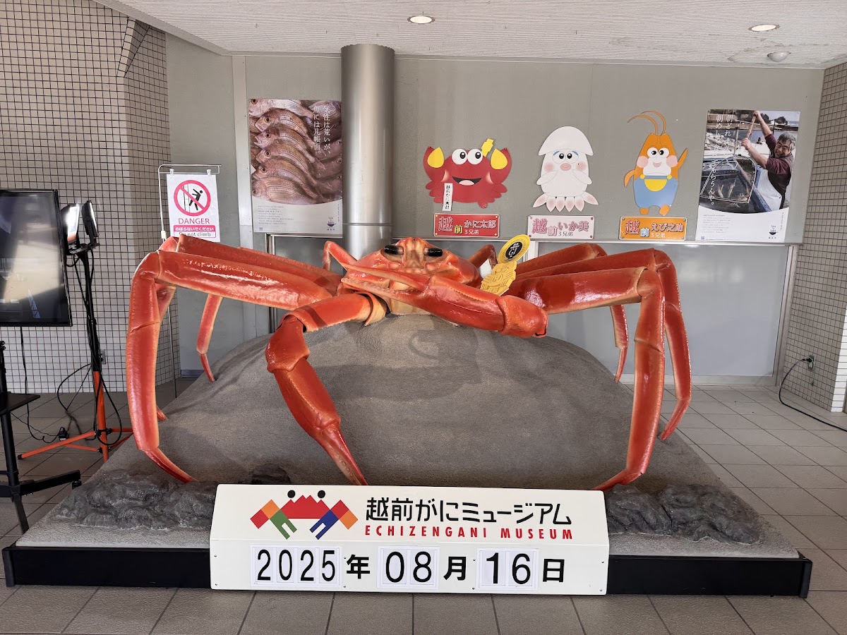 道之驛 越前(道の駅 越前) 實景照片 4