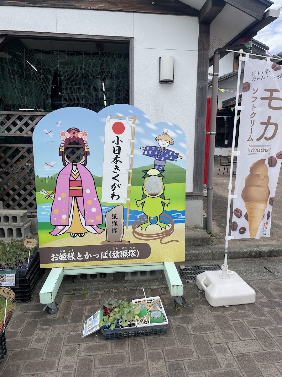 道之驛 菊川(道の駅 きくがわ) 實景照片 4