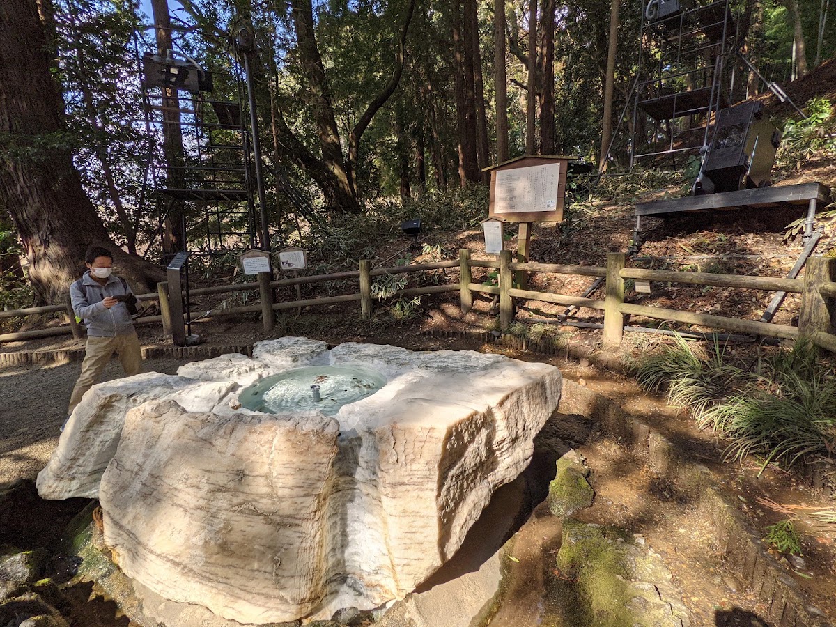 偕樂園(偕楽園) 實景照片 10