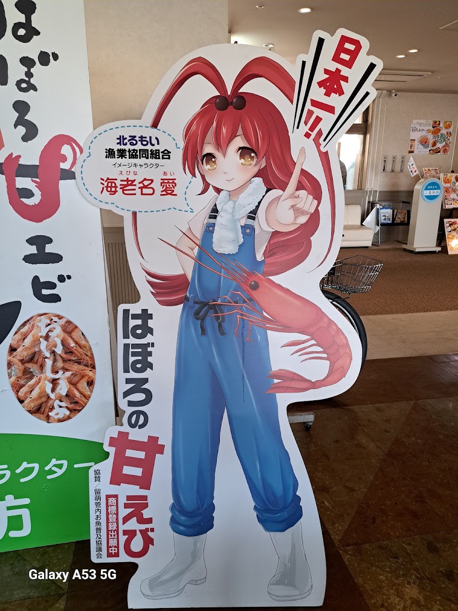道之驛 溫泉♡羽幌（道の駅 ほっと♡はぼろ） 實景照片 3