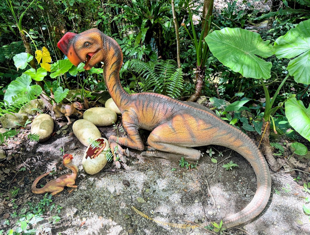 DINO恐龍PARK山原亞熱帶之森(DINO恐竜PARK やんばる亜熱帯の森) 實景照片 9