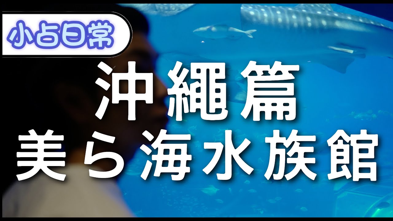 世界三大水族館 沖繩美麗海水族館 | 沖繩自駕遊【小占日常😆】Ep63日本🇯🇵沖繩special