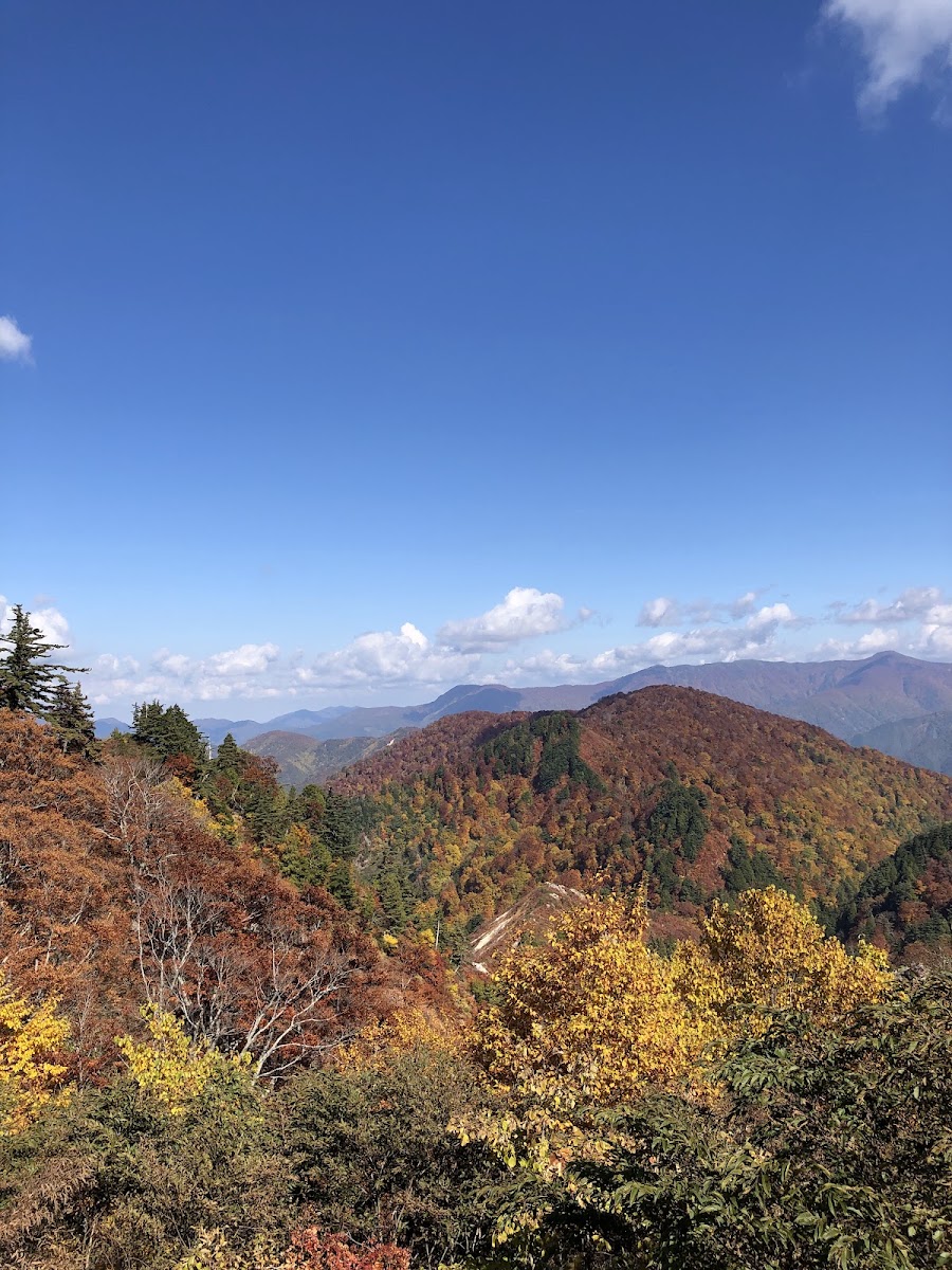 俯瞰山谷秋色與遠方層疊山脈