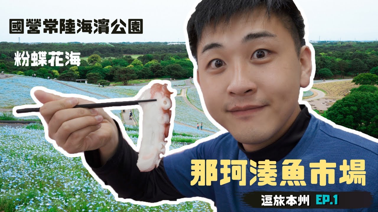 《關東旅遊》 那珂湊魚市場Ｘ國營常陸海濱公園粉蝶花Ｘ大洗磯前神社 ｜茨城海岸一日遊★ 逗旅本州 Vlog Ep①