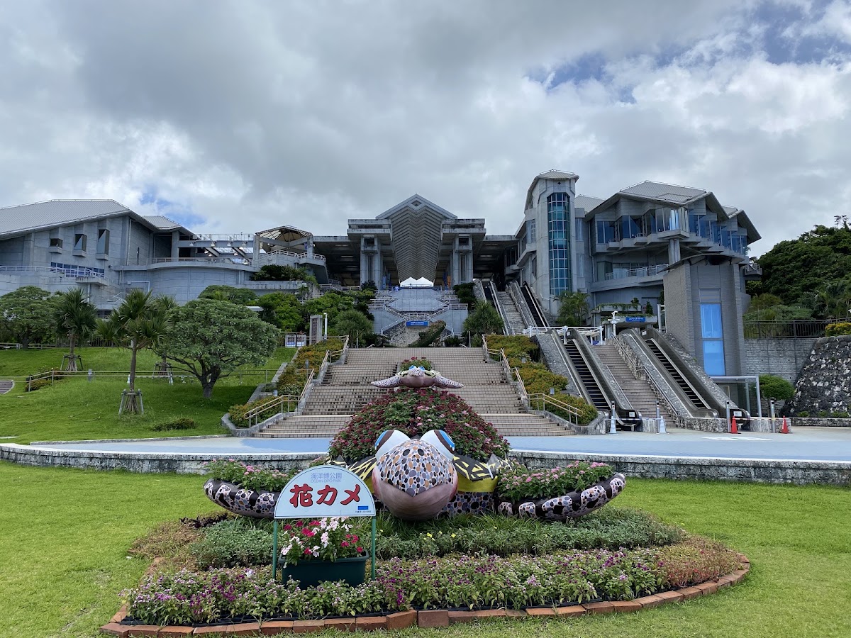 海洋博公園 實景照片 6