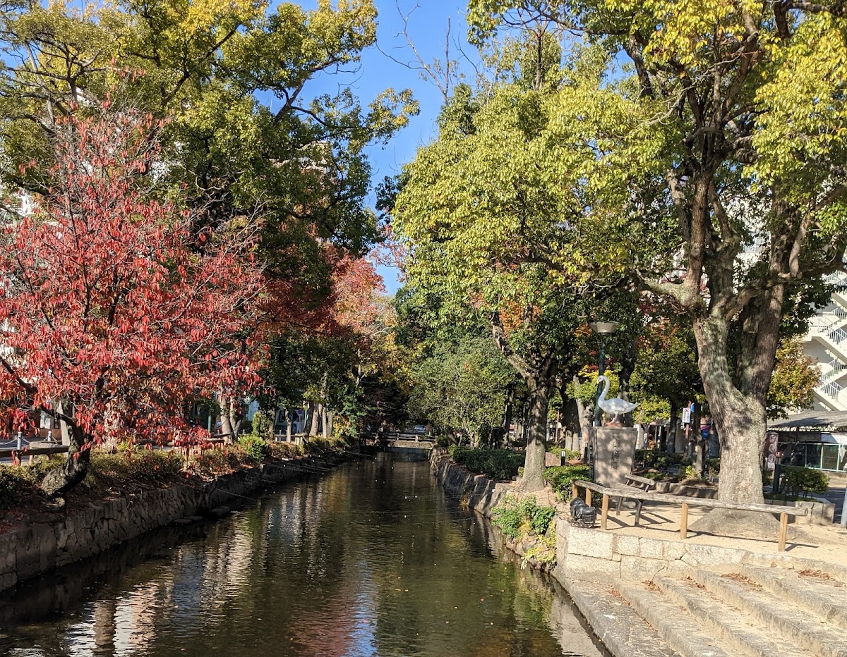 岡山後樂園(岡山後楽園) 實景照片 8