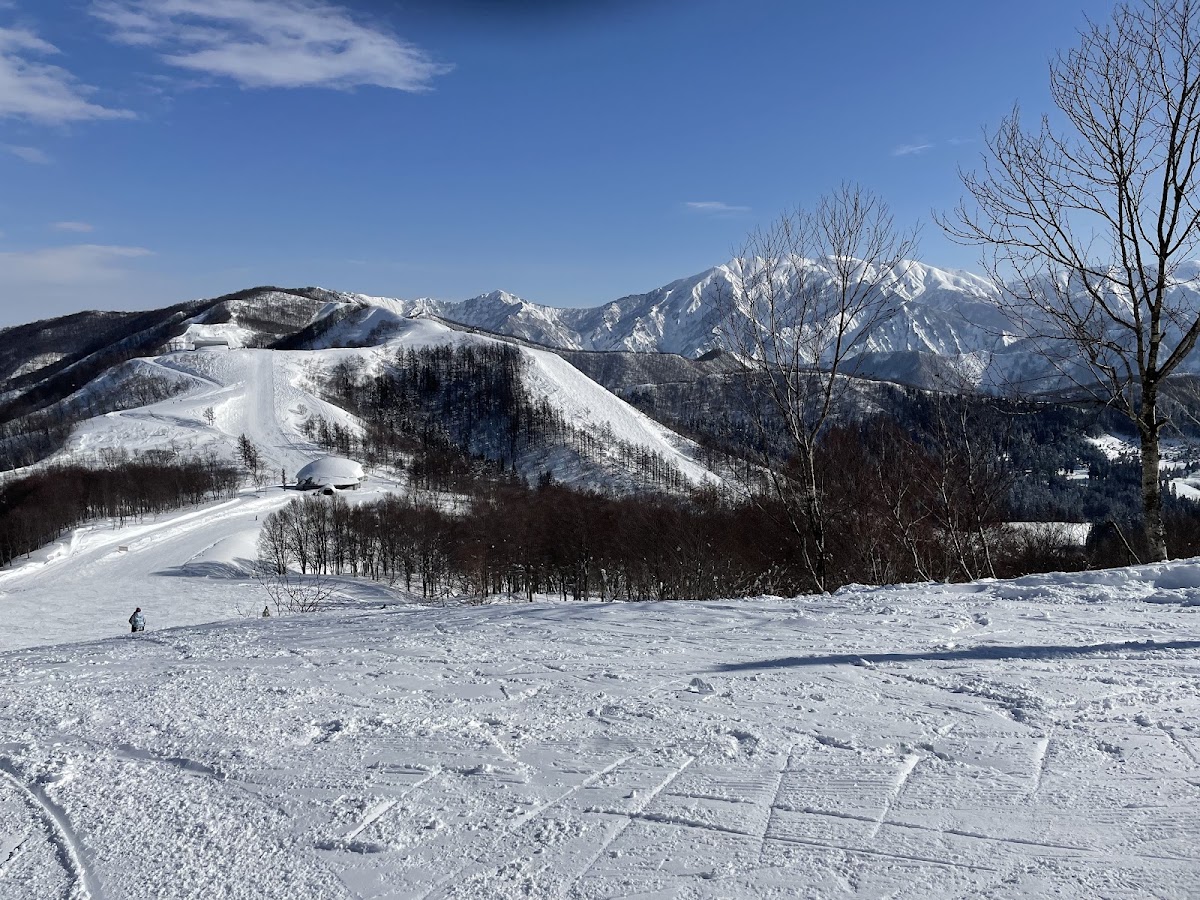 舞子滑雪度假村(舞子スノーリゾート) 實景照片 6