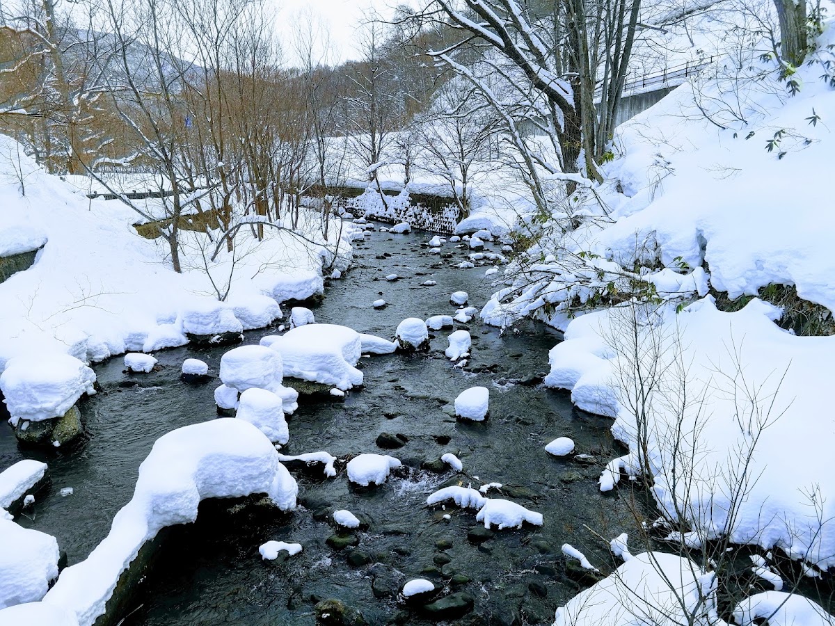 朝里川溫泉滑雪場(朝里川温泉スキー場) 實景照片 7