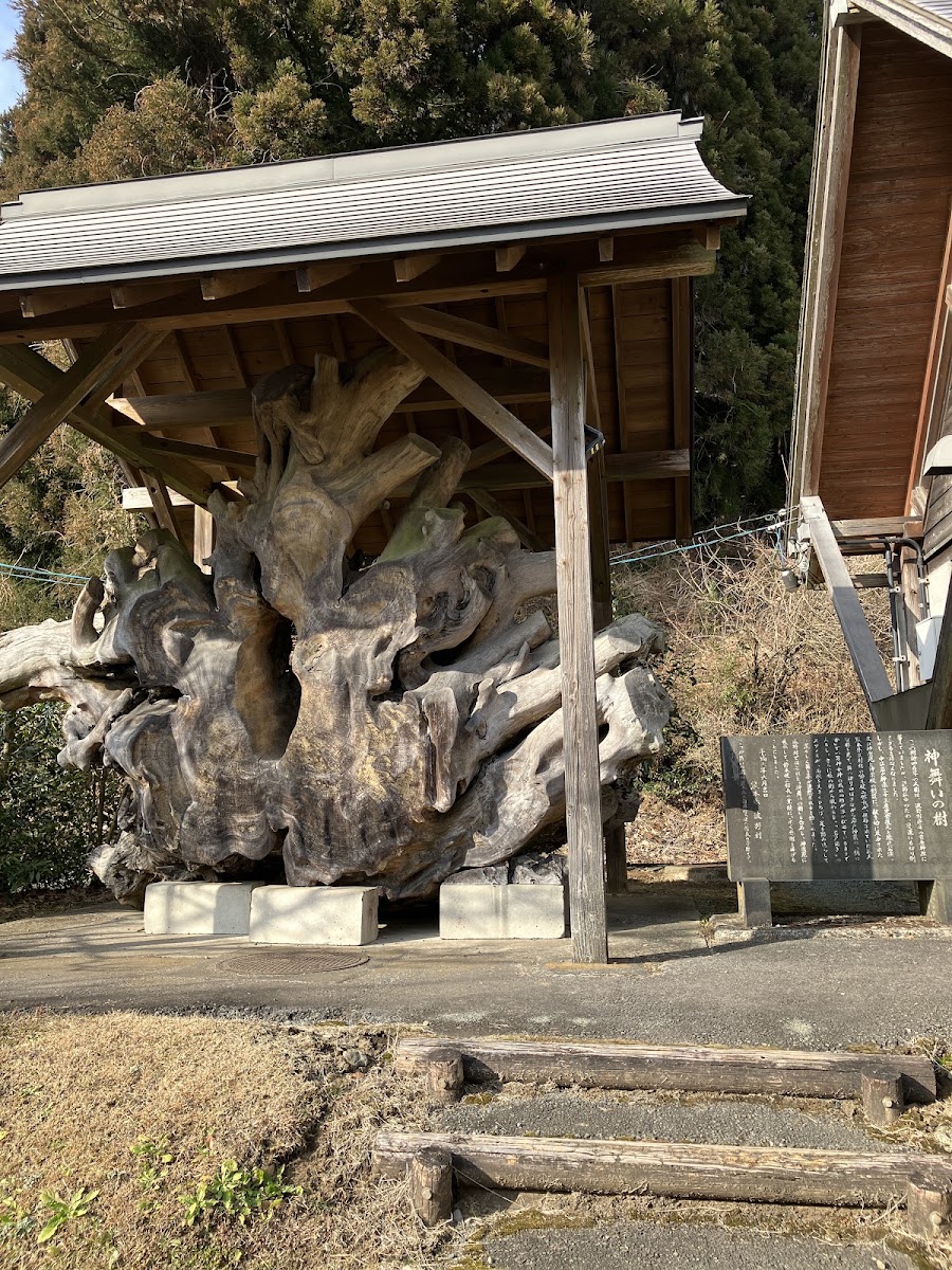 道之驛 波野(道の駅 波野) 實景照片 10