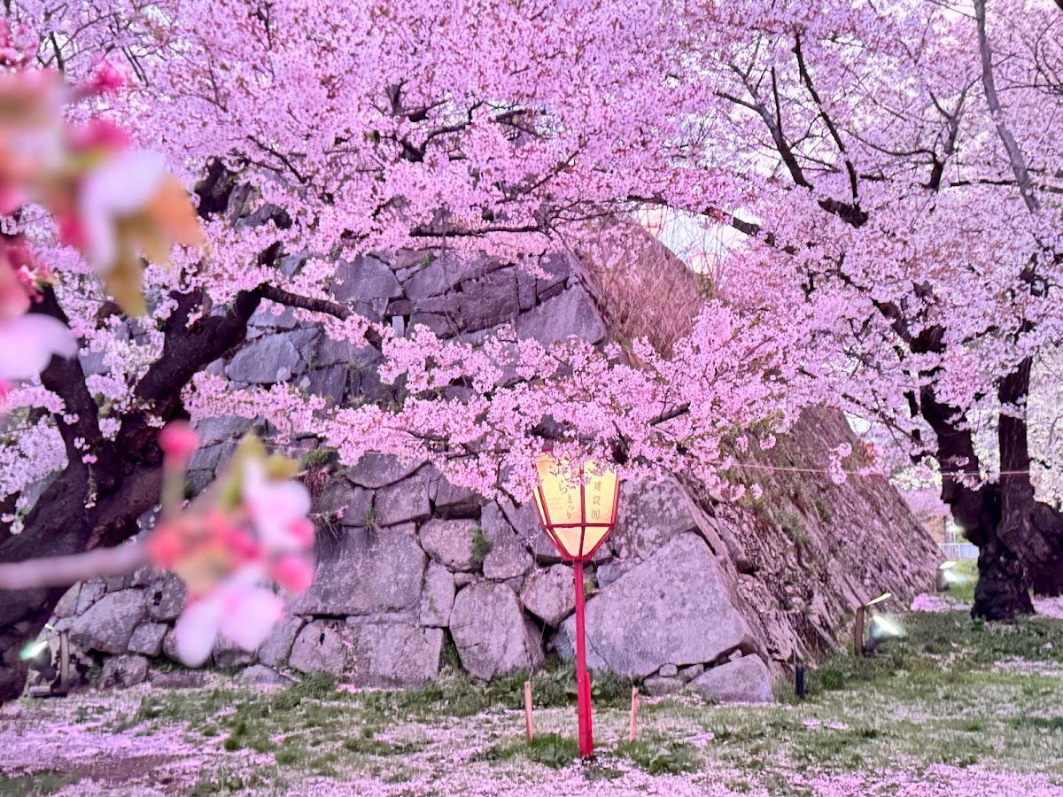 盛岡城 實景照片 7