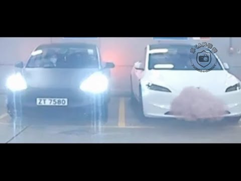 車CAM直擊 - ZT7580 有冇補鐘師傅介紹比呢個153同志？咁都可以撞車