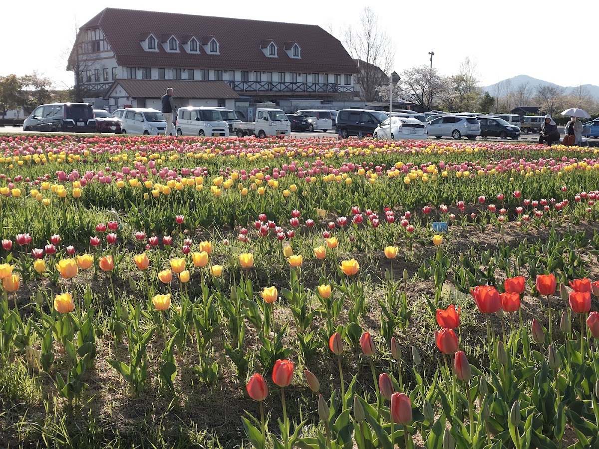 道之驛 Agri Park 龍王（道の駅 アグリパーク竜王） 實景照片 7