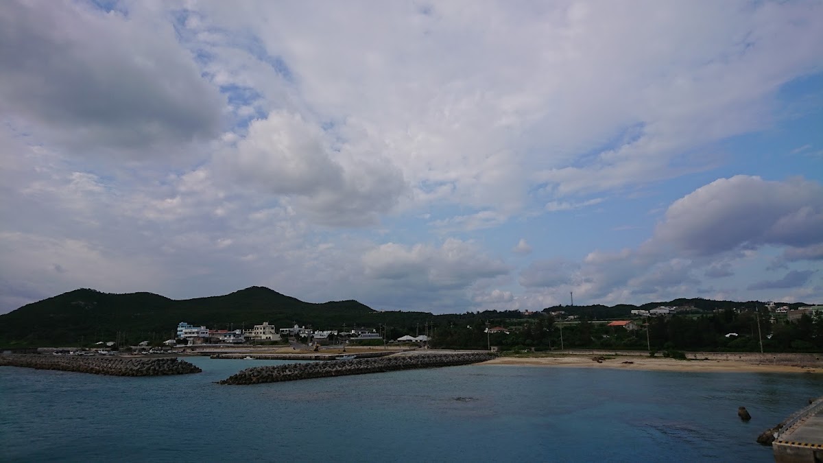 仲田港 實景照片 6