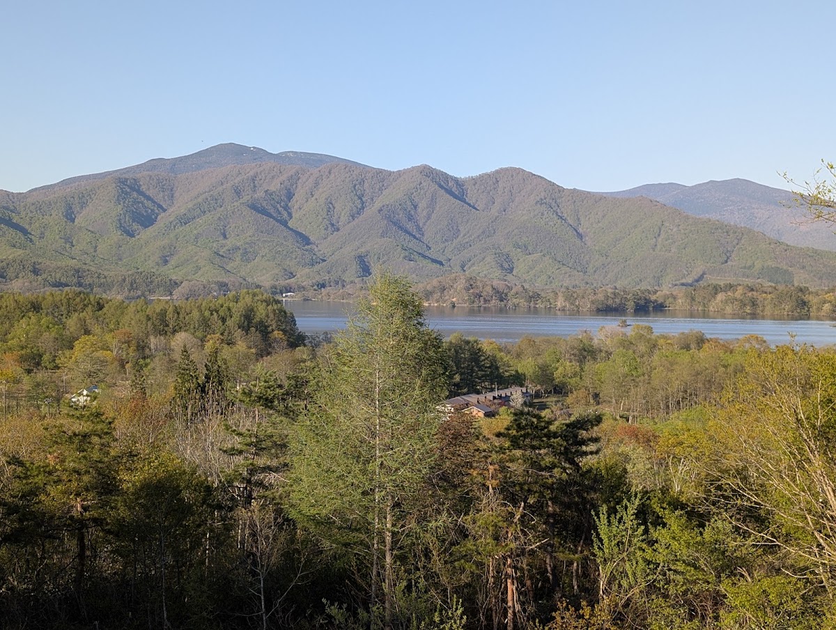 道之驛 裏磐梯（道の駅 裏磐梯） 實景照片 10