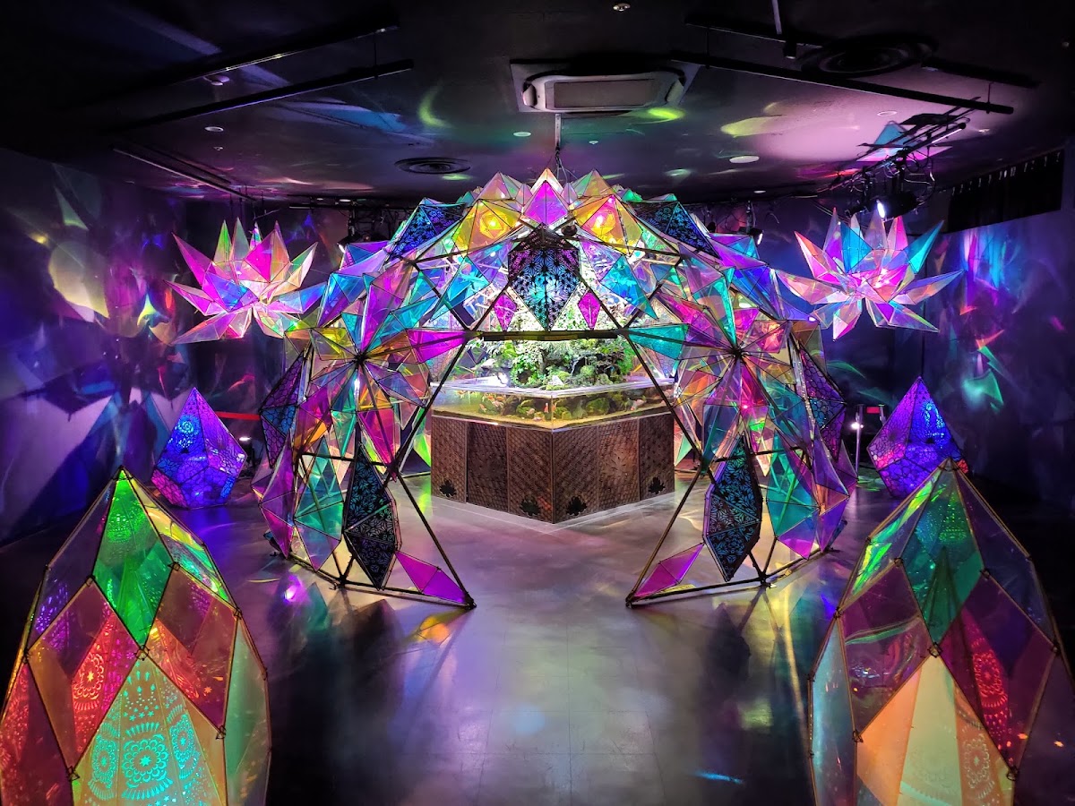 奈良金魚博物館（奈良金魚ミュージアム） 實景照片 2