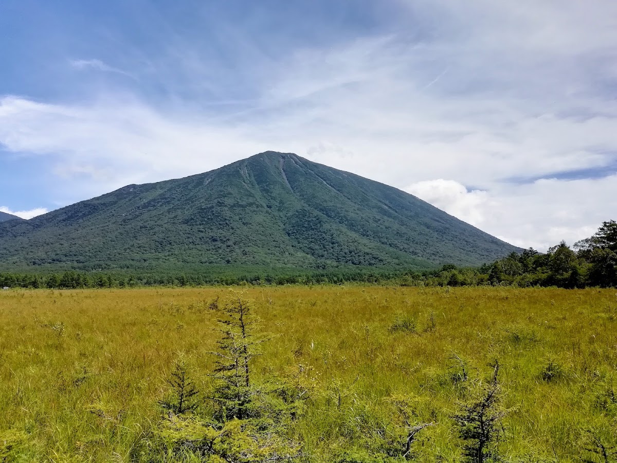 遼闊草地與遠方山脈景致