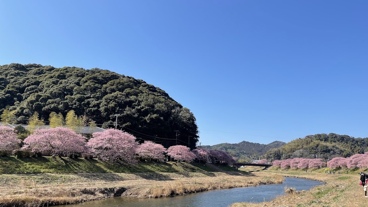 道之驛 下賀茂溫泉 湯之花(道の駅 下賀茂温泉 湯の花) 實景照片 2