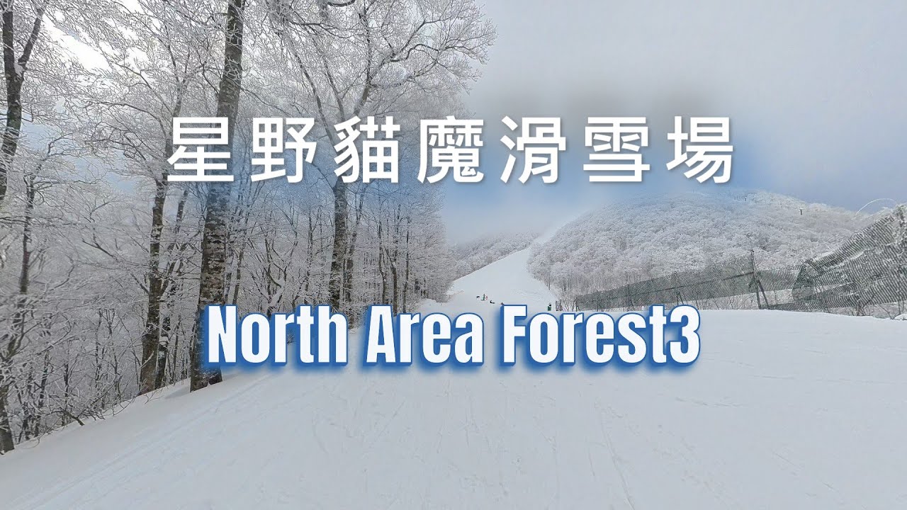 星野貓魔滑雪場 NEKOMA Mountain 北區森林3滑道 2026