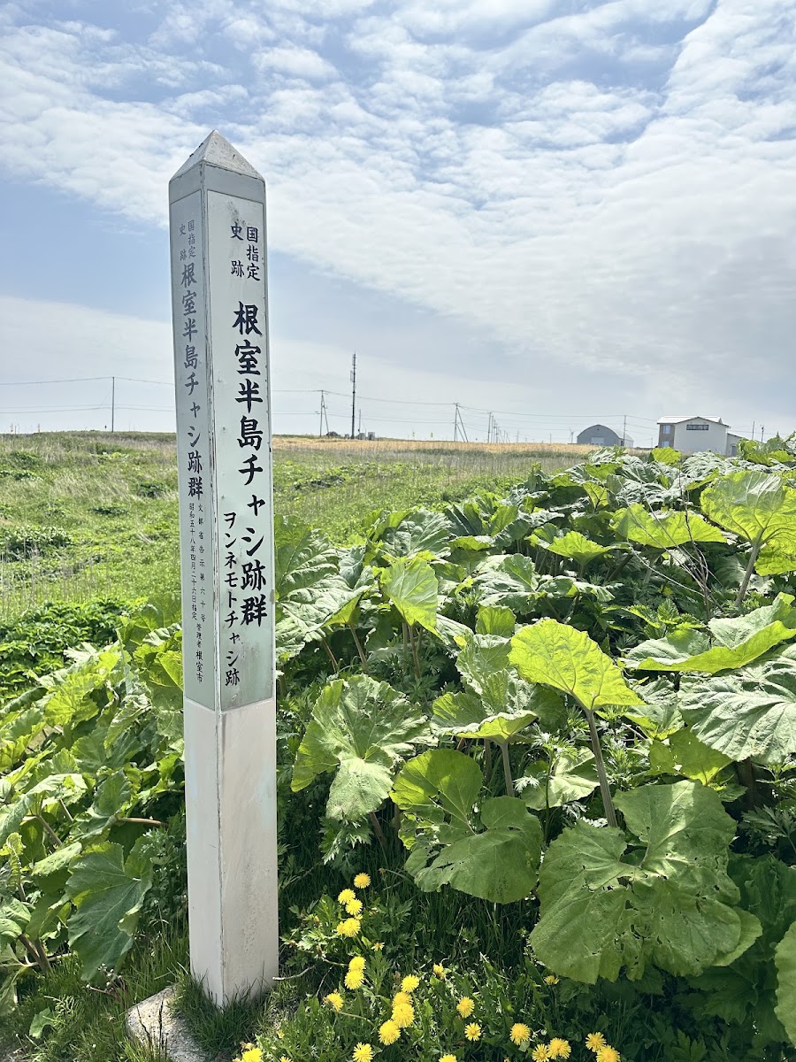 根室半島砦跡群(根室半島チャシ跡群) 實景照片 5