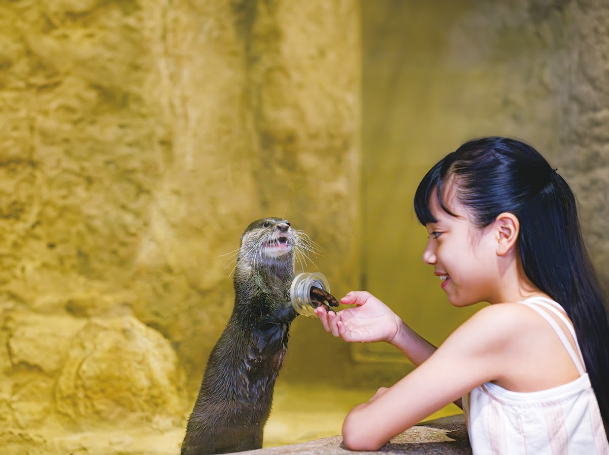 沖繩DMM Kariyushi水族館（DMM かりゆし水族館） 實景照片 1